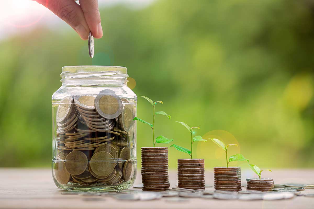 Conceptual image of money growth over time